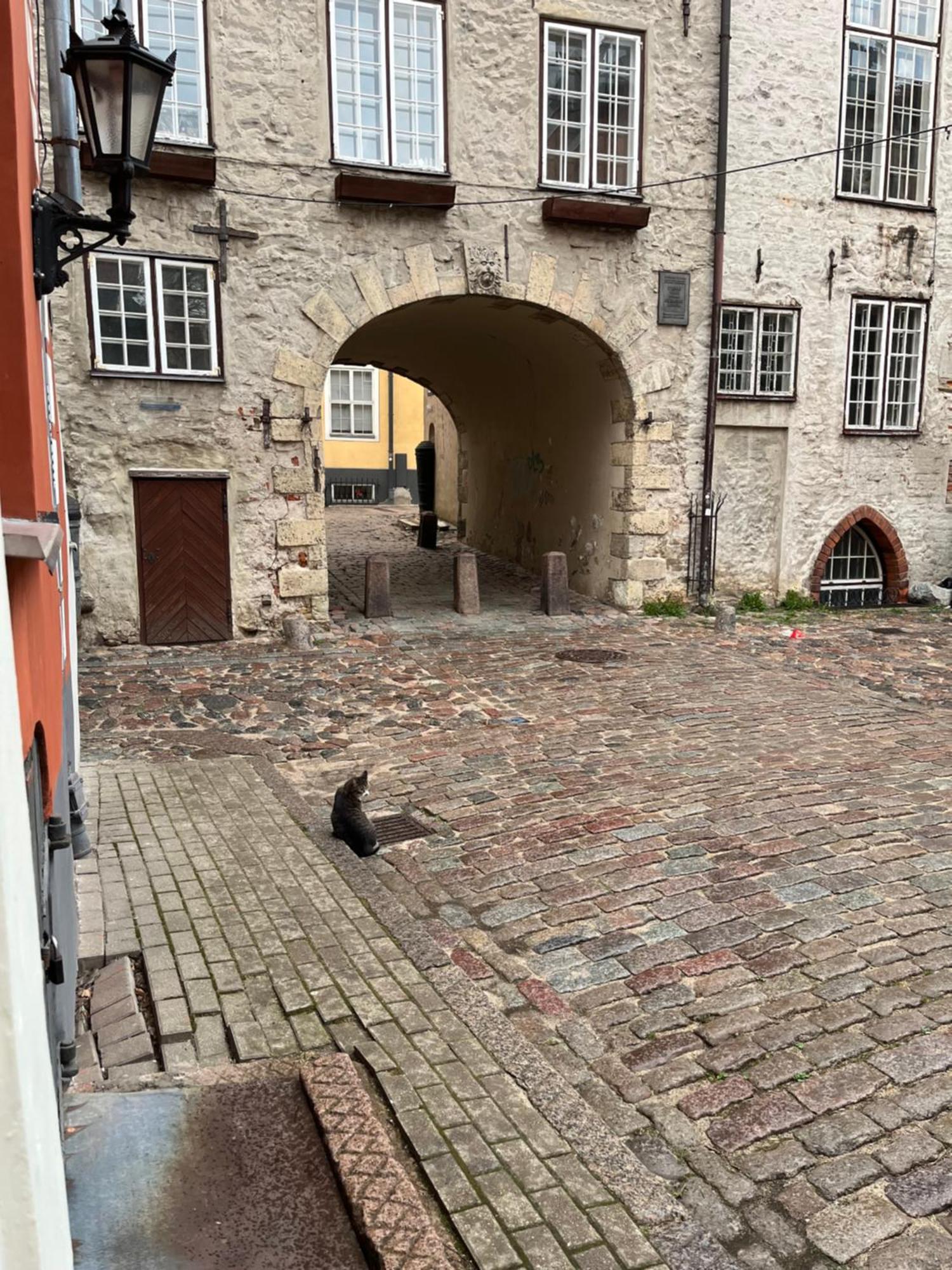 Old Town Art House Lägenhet